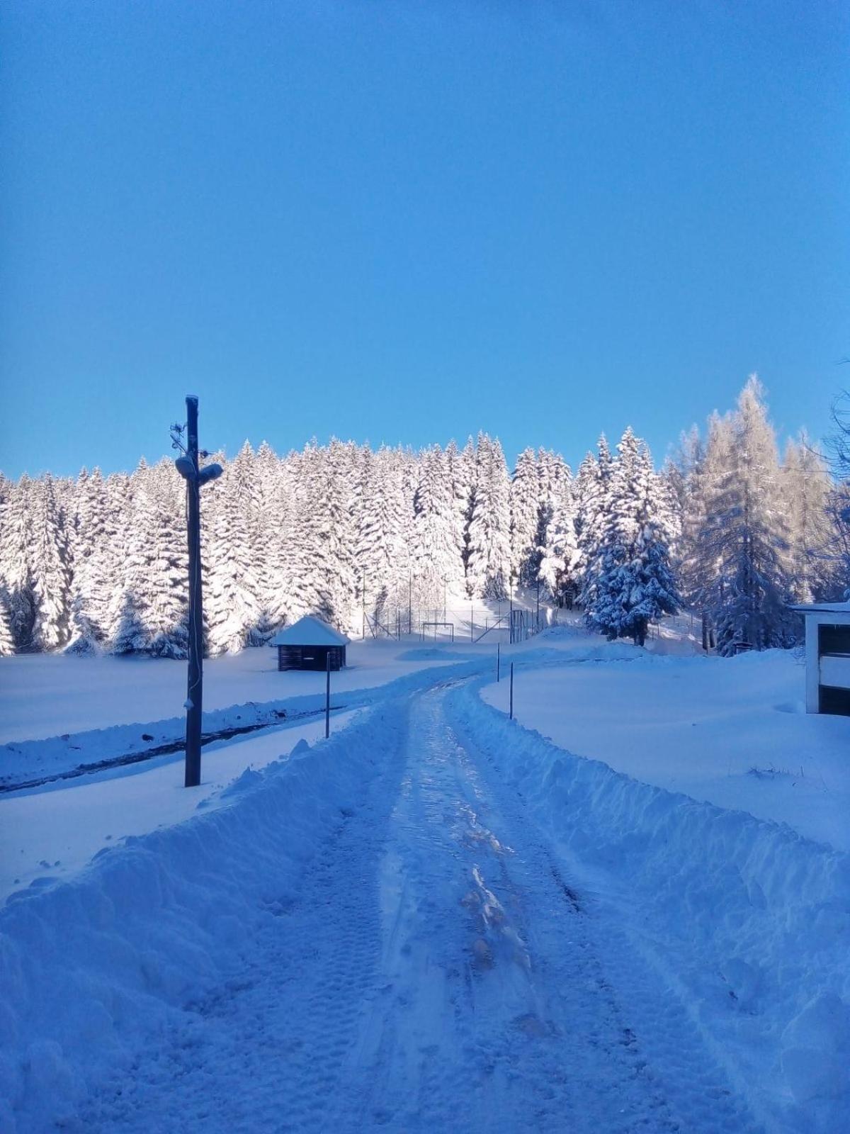 Studios Sumska Kuca 1 Kopaonik Exterior foto