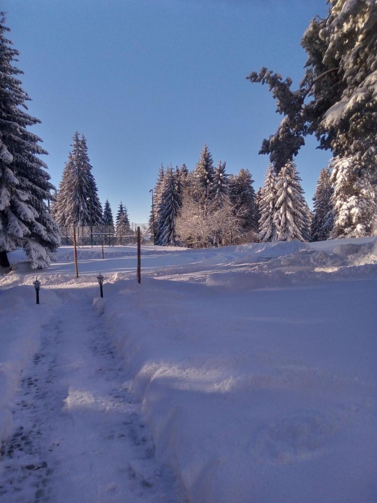 Studios Sumska Kuca 1 Kopaonik Exterior foto