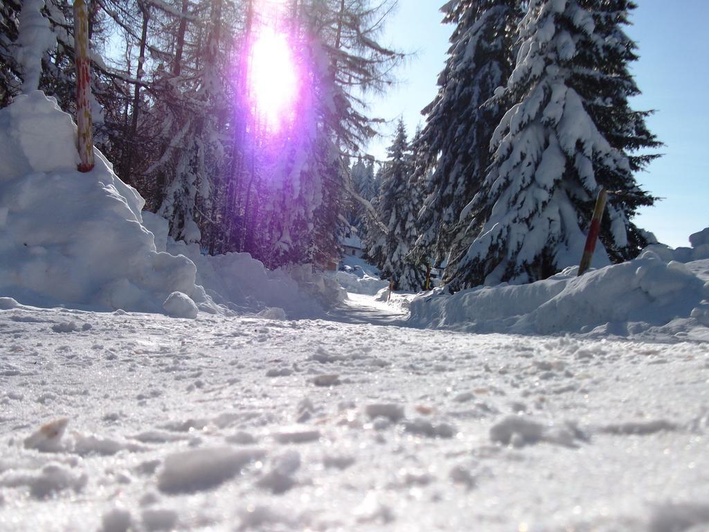 Studios Sumska Kuca 1 Kopaonik Exterior foto