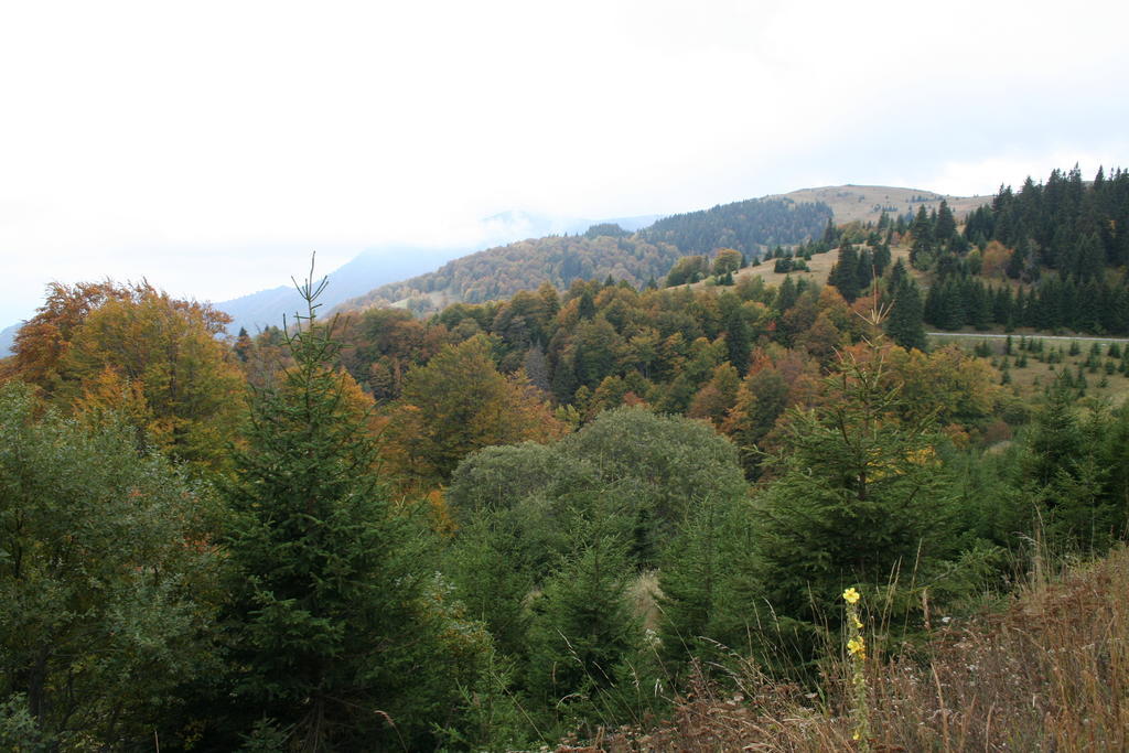 Studios Sumska Kuca 1 Kopaonik Cameră foto